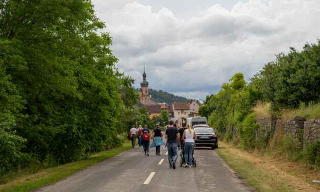 Endlich wieder Weinbergswanderung und dann…