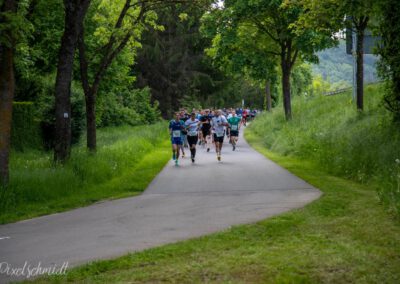 Die Länder auf der Strecke