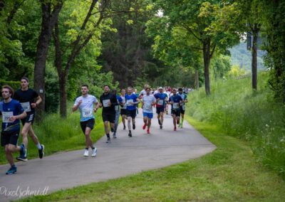 Die Länder auf der Strecke