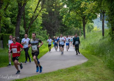 Die Länder auf der Strecke