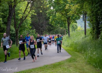 Die Länder auf der Strecke