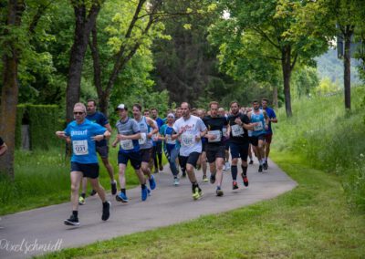 Die Länder auf der Strecke