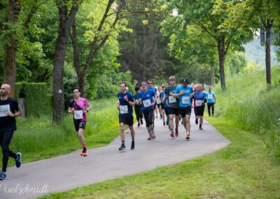 Die Länder auf der Strecke