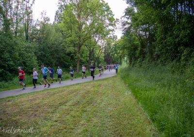 Die Länder auf der Strecke