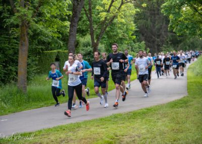 Die Läufer beim 9.Krick Firmenlauf in EIbelstadt