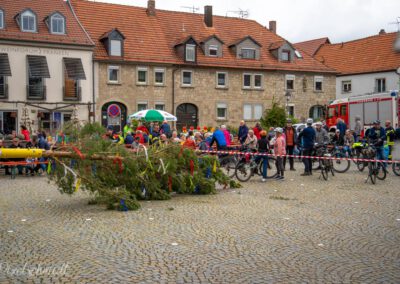 Maibaum-Aufstellung mit vielen Zuschauern