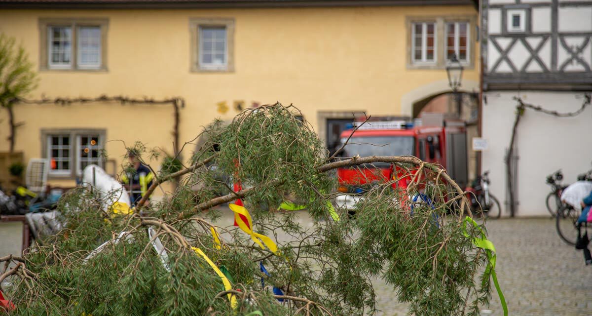 Die Maibaum-Aufstellung