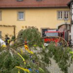 Die Maibaum-Aufstellung