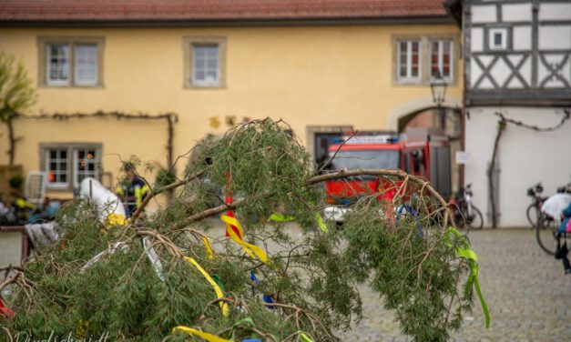 Die Maibaum-Aufstellung