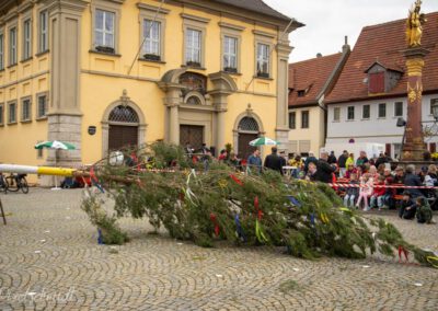 Der Maibaum liegt vor dem Rathaus