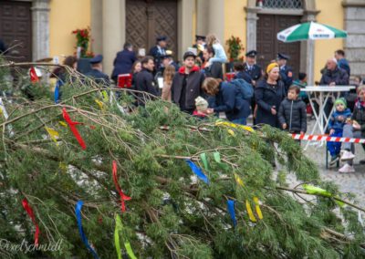 Der Maibaum