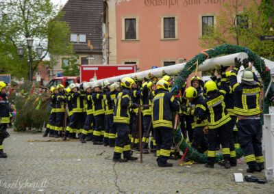 Die Feuerwehr stellt den Maibaum auf