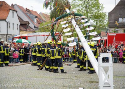 Die Maibaum-Aufstellung