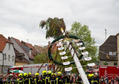 Die Maibaum-Aufstellung