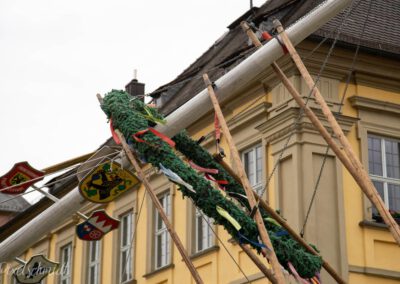 Die Maibaum-Aufstellung