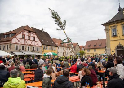 Die Maibaum-Aufstellung