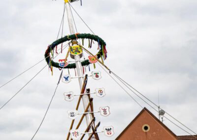 Die Maibaum-Aufstellung