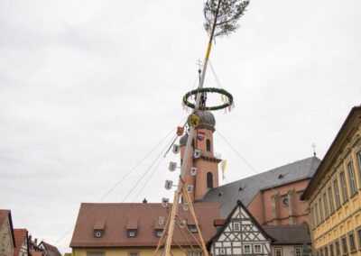 Die Maibaum-Aufstellung