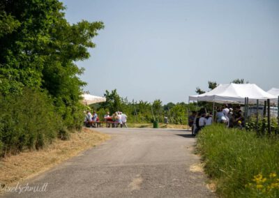 Weinbergswanderung in Eibelstadt