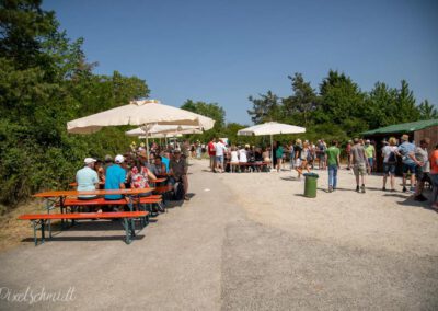 Weinbergswanderung in Eibelstadt