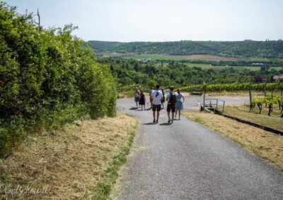 Weinbergswanderung in Eibelstadt