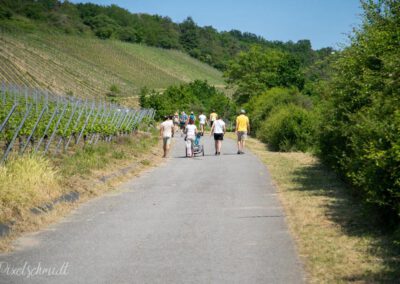 Weinbergswanderung in Eibelstadt