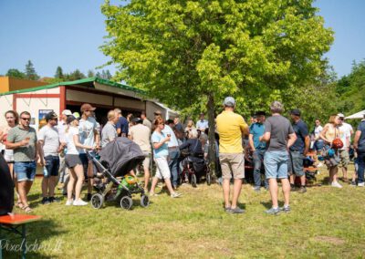 Weinbergswanderung in Eibelstadt