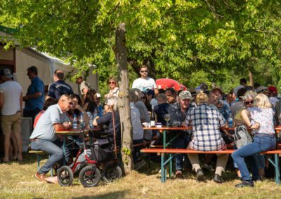 Weinbergswanderung in Eibelstadt