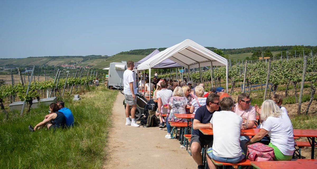 Weinbergswanderung in Eibelstadt