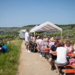 Weinbergswanderung in Eibelstadt