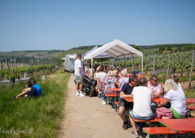 Weinbergswanderung in Eibelstadt