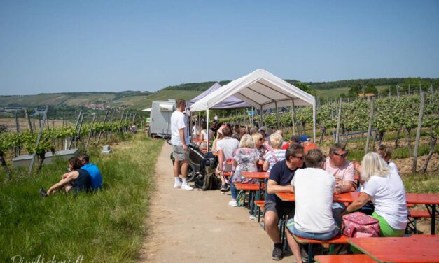 Weinbergswanderung in Eibelstadt