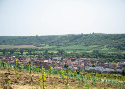 Der Blick auf Eibelstadt