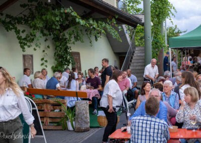 Zahlreiche Besucher beim Hoffest