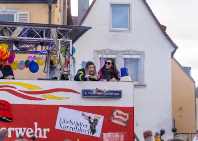 Fasching in Eibelstadt 2024