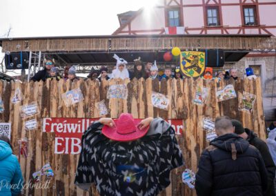 Fasching in Eibelstadt 2025