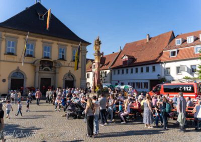 Wieder einmal zahlreiche Besucher bei der Maibaumaufstellung in Eibelstadt