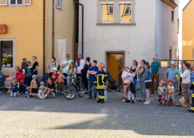 Wieder einmal zahlreiche Besucher bei der Maibaumaufstellung in Eibelstadt
