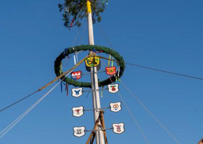 Der Maibaum in Eibelstadt