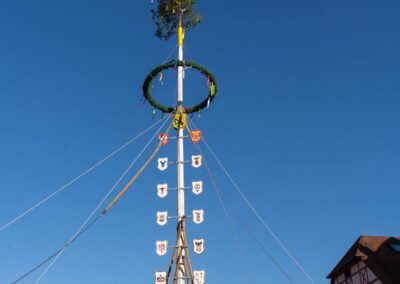 Da steht der Maibaum in Eibelstadt