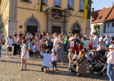 Wieder einmal zahlreiche Besucher bei der Maibaumaufstellung in Eibelstadt
